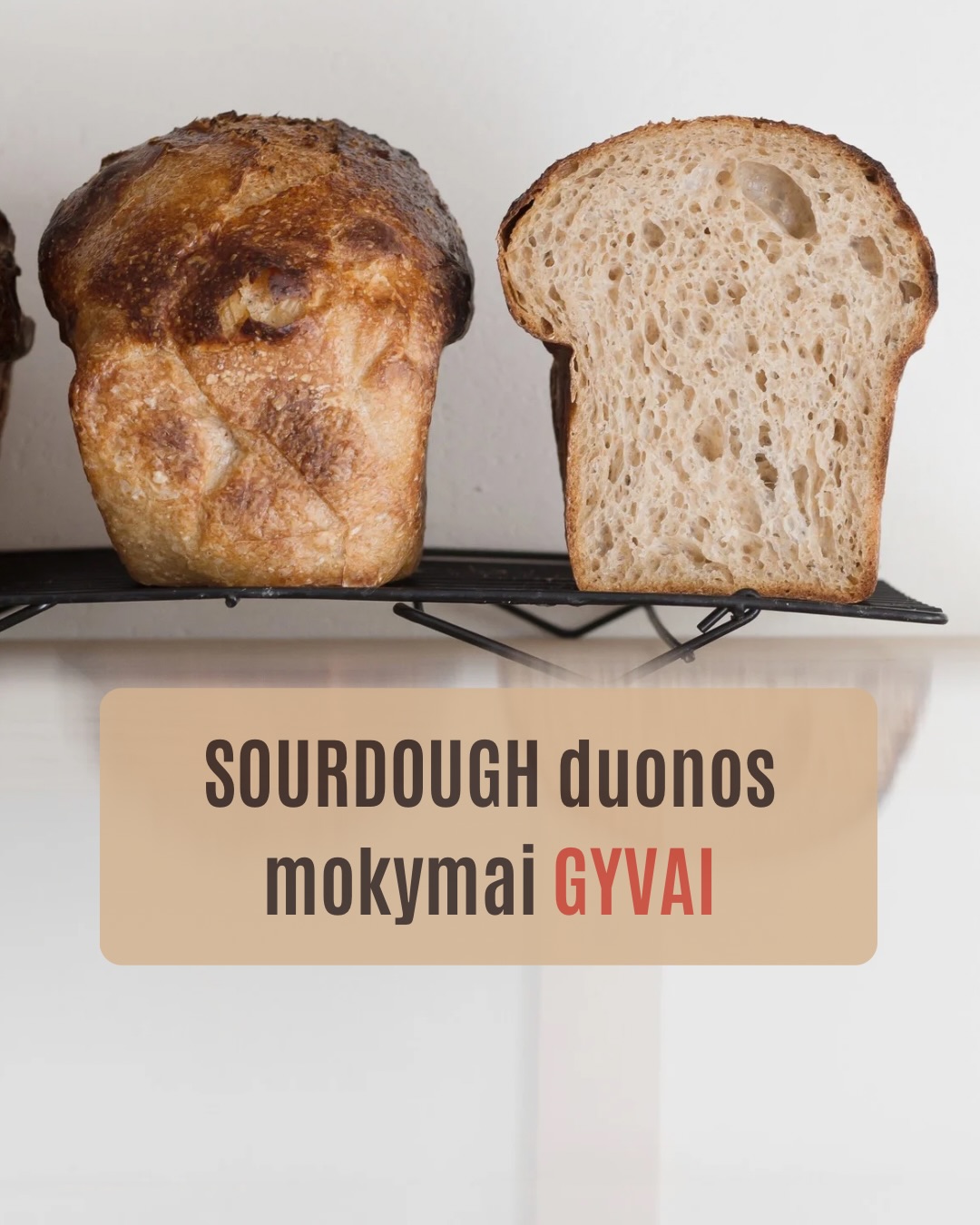 Raugas ir duona – mūsų kepyklos širdis. O mokymai – būdas tuo pasidalinti.

Skelbiame kovo mėnesio datas 🙌🏻
🍞 Sourdough duonos mokymai (I lygis) – jei norisi pradėti ramiai, nuo pagrindų, suprasti visą procesą ir susidraugauti su raugu be streso.

🍞 Sourdough duonos mokymai (II lygis) – NAUJIENA ✨
Skirti jau kepantiems ir norintiems išmokti kepti sourdough su priedais ir skirtingų rūšių duonas su raugu.

Abiejose mokymuose dirbame mažoje grupėje (tik 7 vietos), todėl galime skirti dėmesio kiekvienam.

Būna daug klausimų, daug „aha“ momentų ir daug tešlos rankose 🙂

Jei jau kurį laiką galvojate „gal laikas“ – galbūt tas laikas dabar.

Daugiau informacijos ir registraciją rasite: www.pmalunas.lt/mokymai