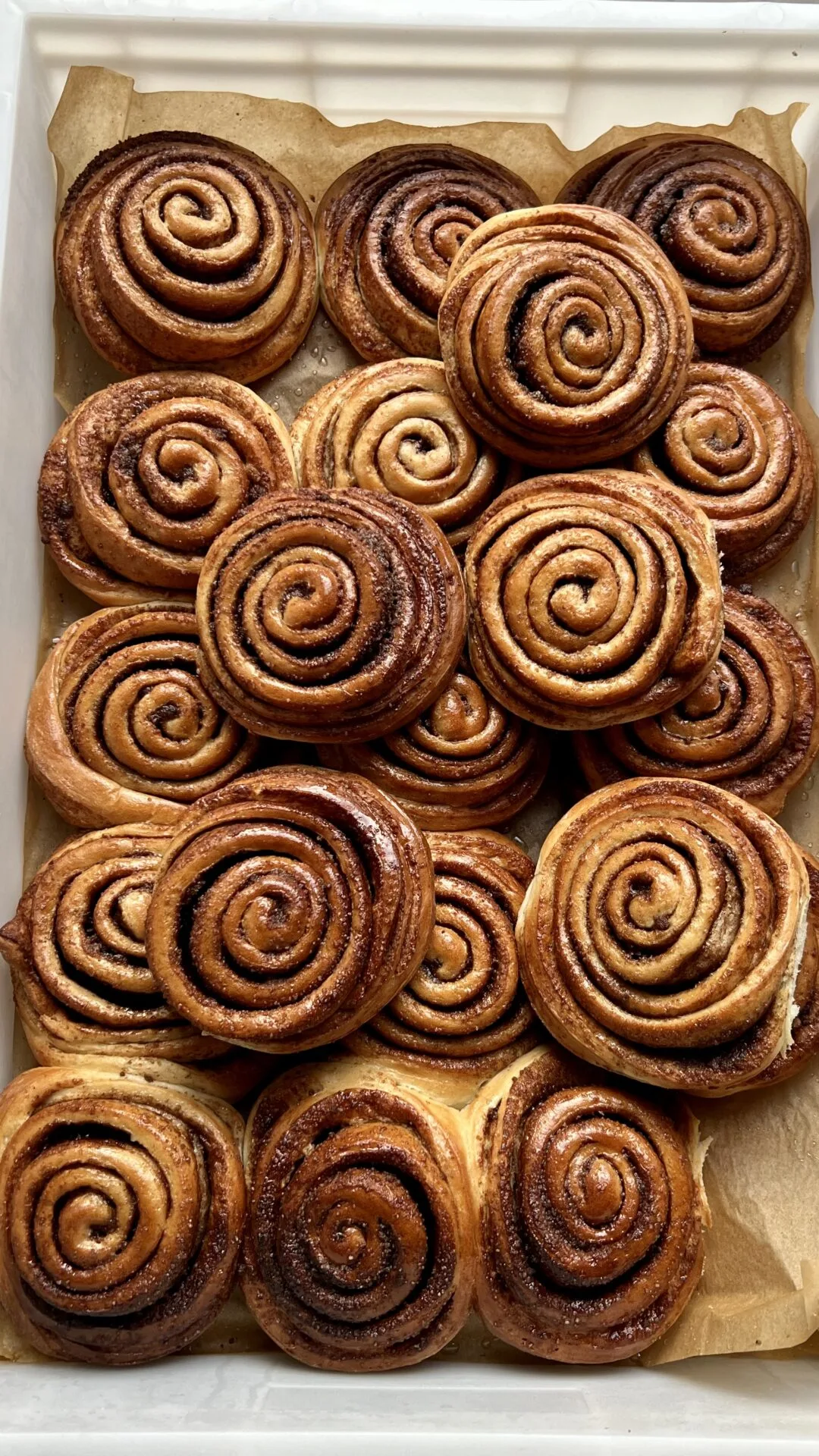 image00018 image00018