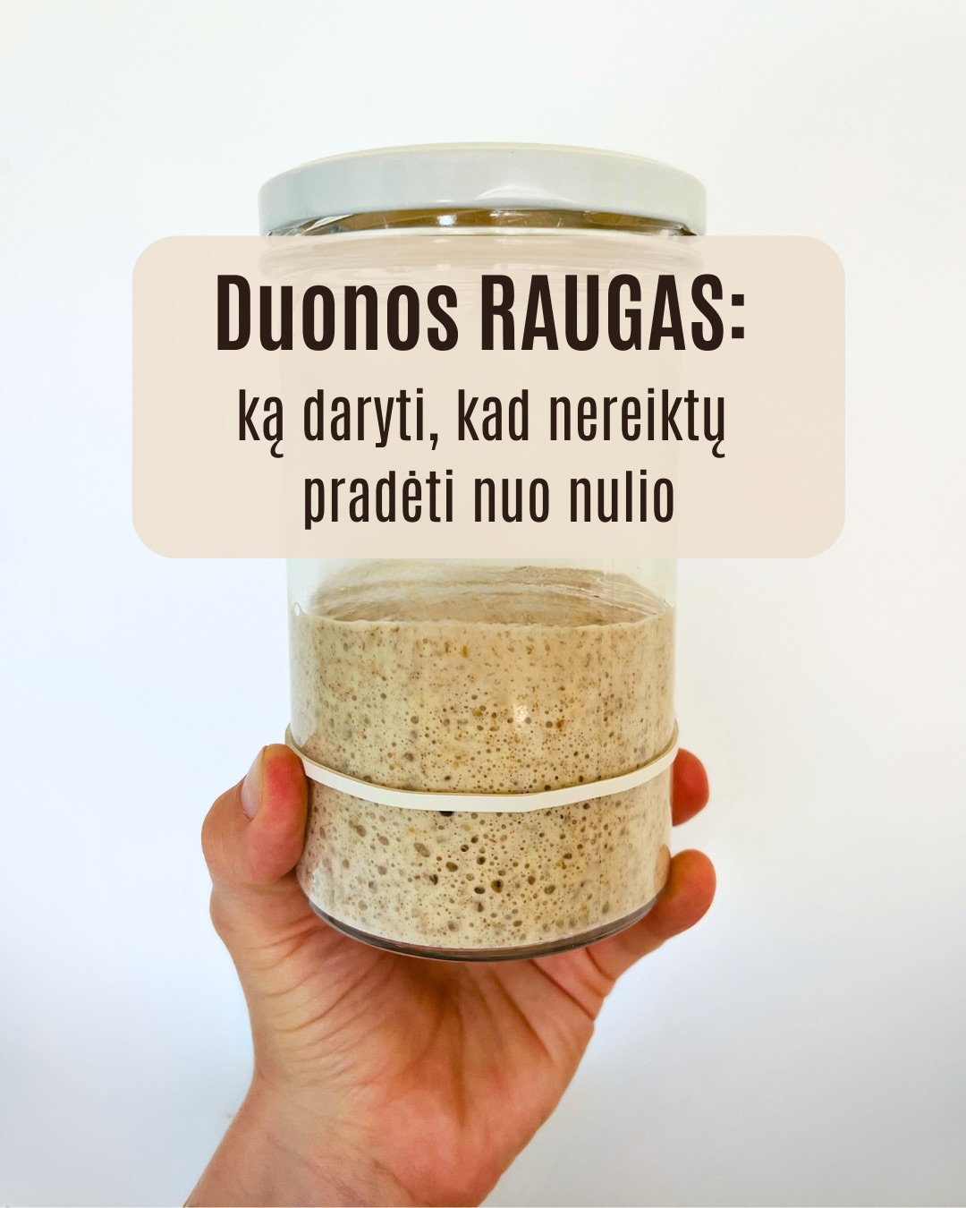 Raugas – mūsų kepyklos širdis. Juo dalinamės už simbolinį 1 eurą, nes tikime, kad sourdough kultūra plečiasi paprasčiausiai: iš rankų į rankas.
Karuselėje rasite viską, ką svarbu žinoti parsinešus raugą namo:
• kodėl pradedame nuo vieno šaukšto;
• pirmo maitinimo proporcijas;
• kaip raugą auginti ir naudoti kepimui;
• kaip jį prižiūrėti, jei kepate retai;
• ir kiek laiko jis išbūna nemaitintas.
O gal turite dar klausimų? Drąsiai klauskite komentaruose arba parašykite mums.