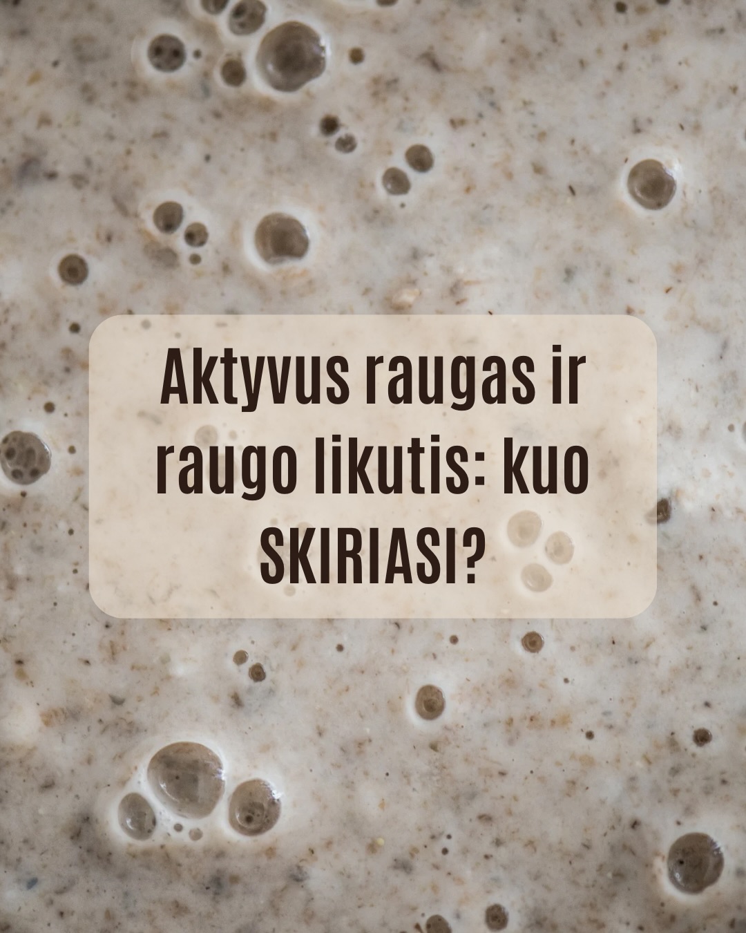 Kai kalbame apie raugo duoną, dažniausiai ieškome aktyvaus, stipraus raugo. Tačiau kiekviename maitinime atsiranda ir kita jo pusė – raugo likutis. Tai nėra klaida, tai kitokia raugo forma.
Daugiau informacijos apie tai, kur tinka raugas, o kur raugo likutis rasite karuselėje.
Kepimas su raugu nėra tik apie vieną receptą. Tai apie procesą, kuriame kiekviena dalis turi savo vietą.
O ką jūs dažniausiai kepate su raugo likučiu?