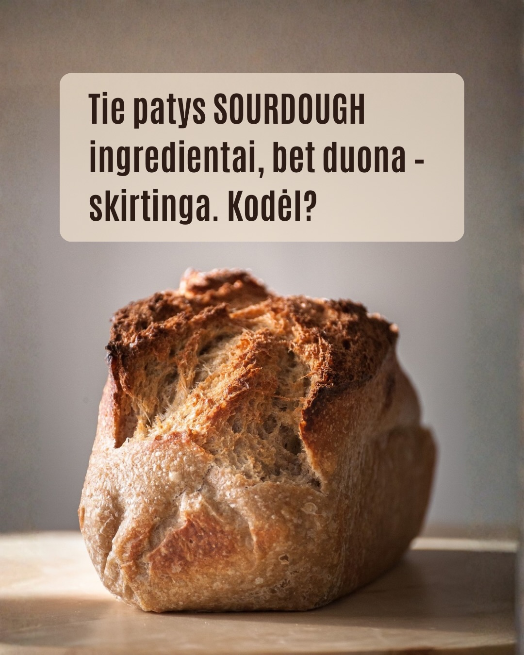 Internete sourdough receptų daug.
Kartais atrodo – pasirink bet kurį ir viskas turėtų pavykti.

Bet kepant greitai paaiškėja:
ta pati formulė skirtingose virtuvėse gyvena skirtingai.

Miltai sugeria vandenį nevienodai.
Tešla vieną dieną būna paklusni, kitą – reikalauja daugiau kantrybės.
O kepimo būdas uždeda paskutinį tašką.

Mes manome, kad receptas yra tik pradžia. Tikroji kokybė pasiekiama tik per patirtį.

Norite įgyti praktikos ir giliau suprasti sourdough kepimo ypatumus? Prisijunkite į mūsų duonos kepimo mokymus vasario 14 ir vasario 28. Registracija: www.pmalunas.lt/mokymai